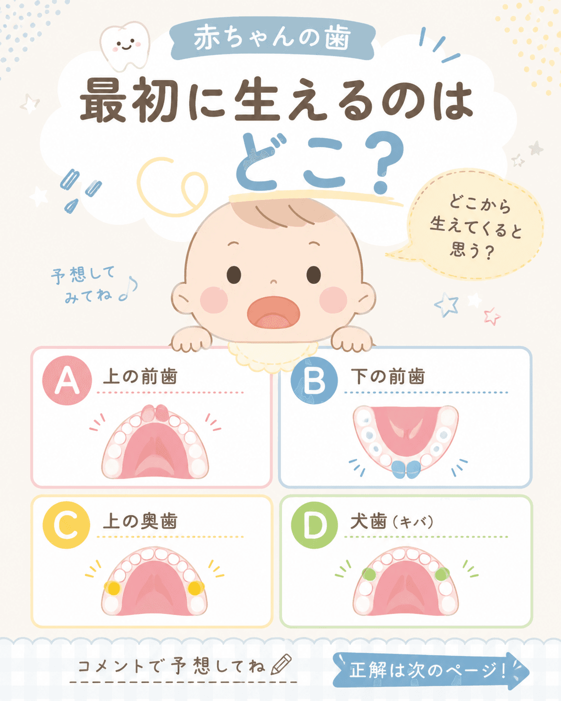 乳歯の生える順番